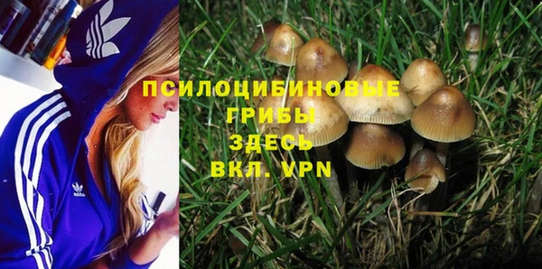 мяу мяу мука Баксан
