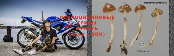 ГАЛЛЮЦИНОГЕННЫЕ ГРИБЫ Медногорск