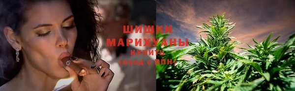 ГАЛЛЮЦИНОГЕННЫЕ ГРИБЫ Медногорск