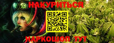 прущие грибы Балаково