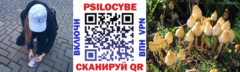 Псилоцибиновые грибы Cubensis  shop клад  Беслан  хочу наркоту 
