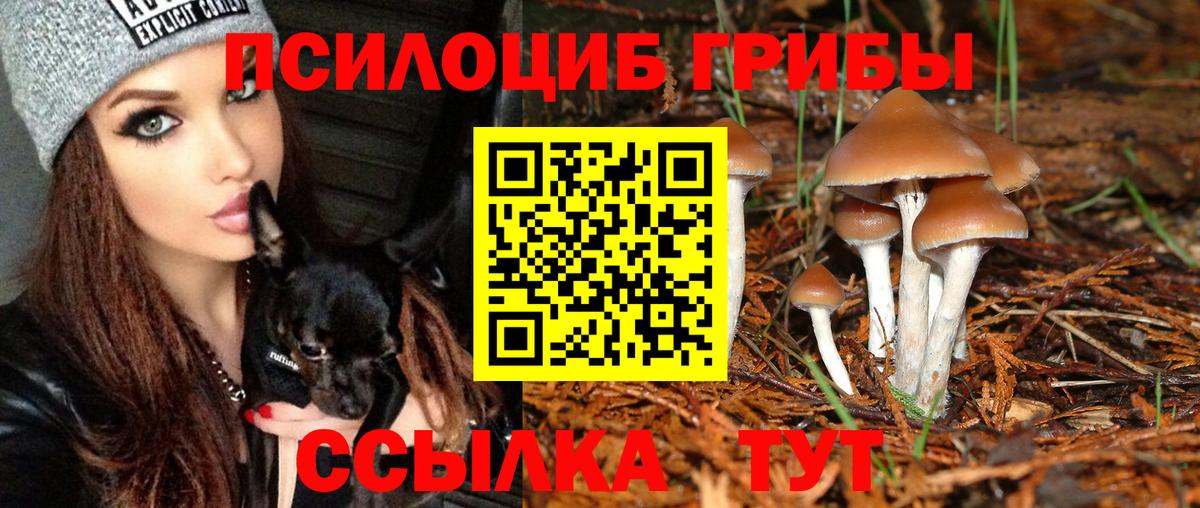 Галлюциногенные грибы MAGIC MUSHROOMS Беслан