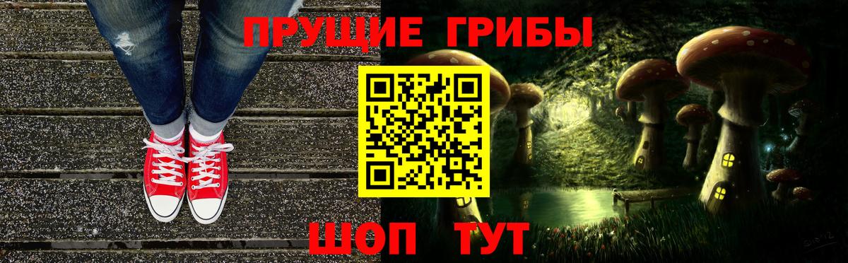 Галлюциногенные грибы Psilocybe  Беслан  Галлюциногенные грибы ЛСД 