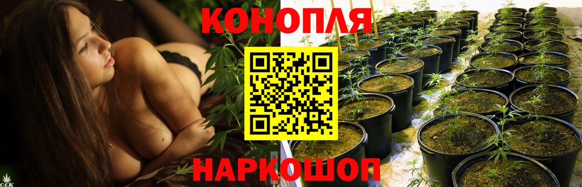 Шишки марихуана SATIVA & INDICA  МАРИХУАНА гибрид  Беслан  Вход с VPN  Бошки марихуана VHQ 